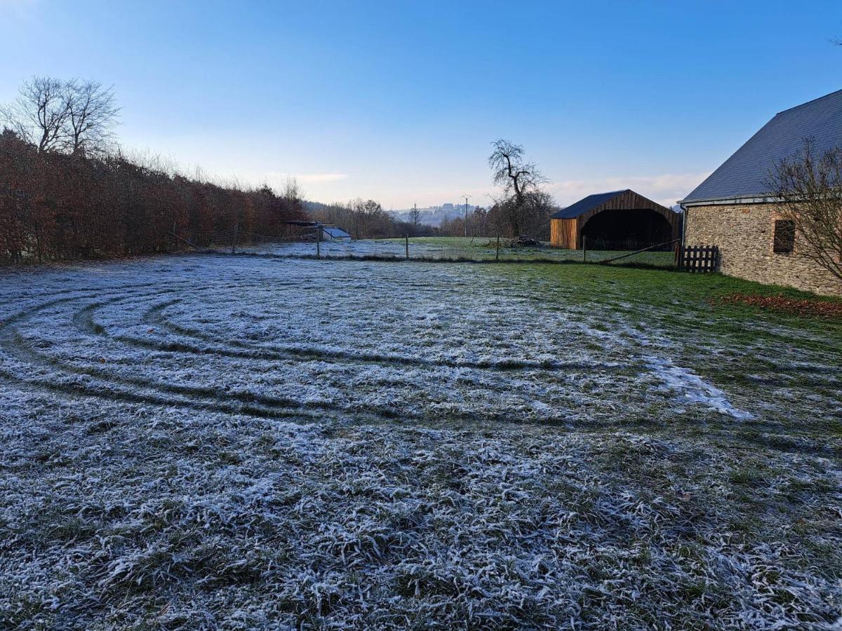 Gite L'Olivier A Filly - Nadrin, Entre Houffalize Et La Roche-En-Ardenne المظهر الخارجي الصورة